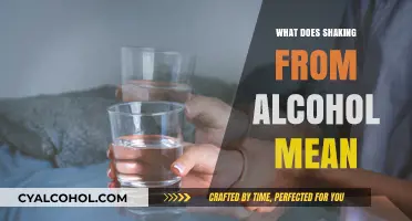 Understanding the Shakes: A Guide to Alcohol Withdrawal Symptoms