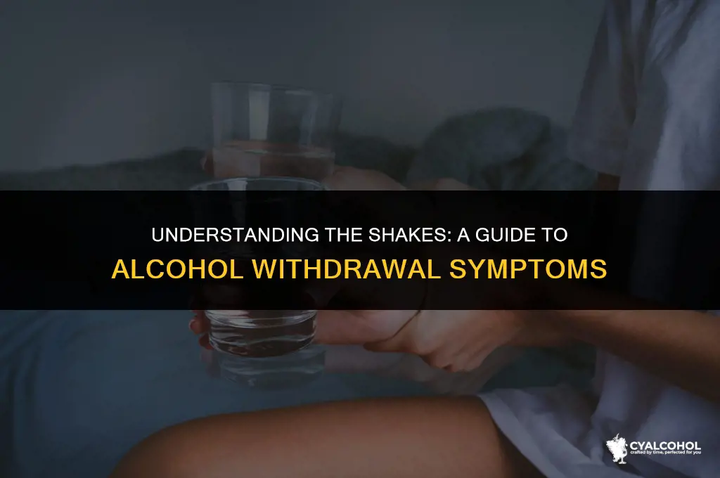 what does shaking from alcohol mean