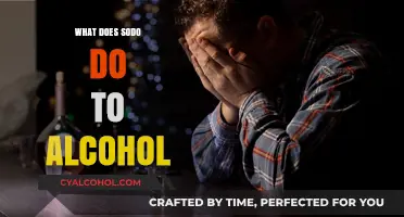 Exploring the Effects: How Sodo Transforms Your Alcohol Experience