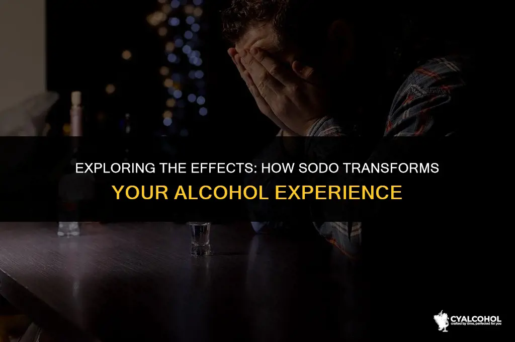 what does sodo do to alcohol