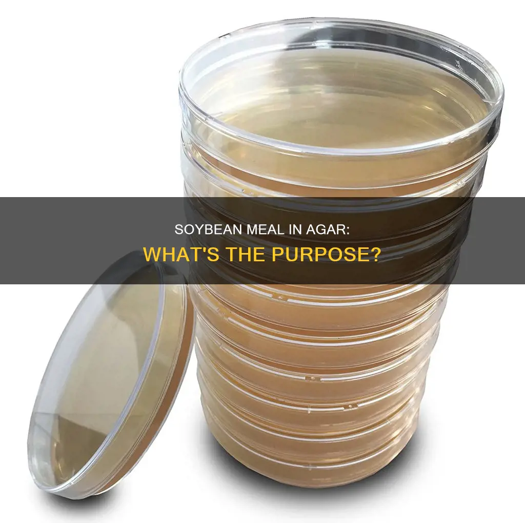 what does soybean meal in phenylethyl alcohol agar provide