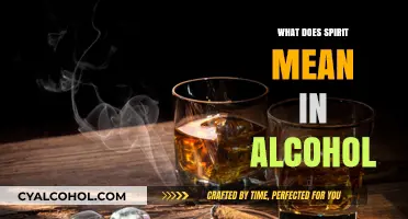Unveiling the Mystery: What Does 'Spirit' Mean in Alcohol?