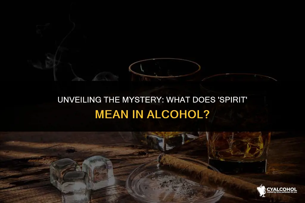 what does spirit mean in alcohol