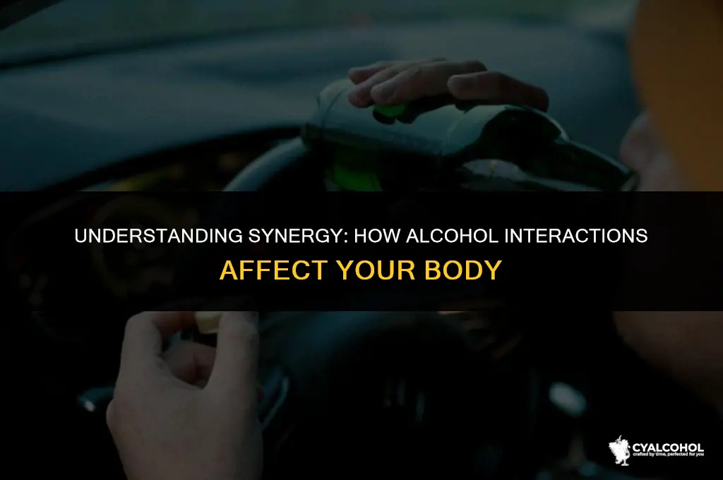 what does synergistic with alcohol mean
