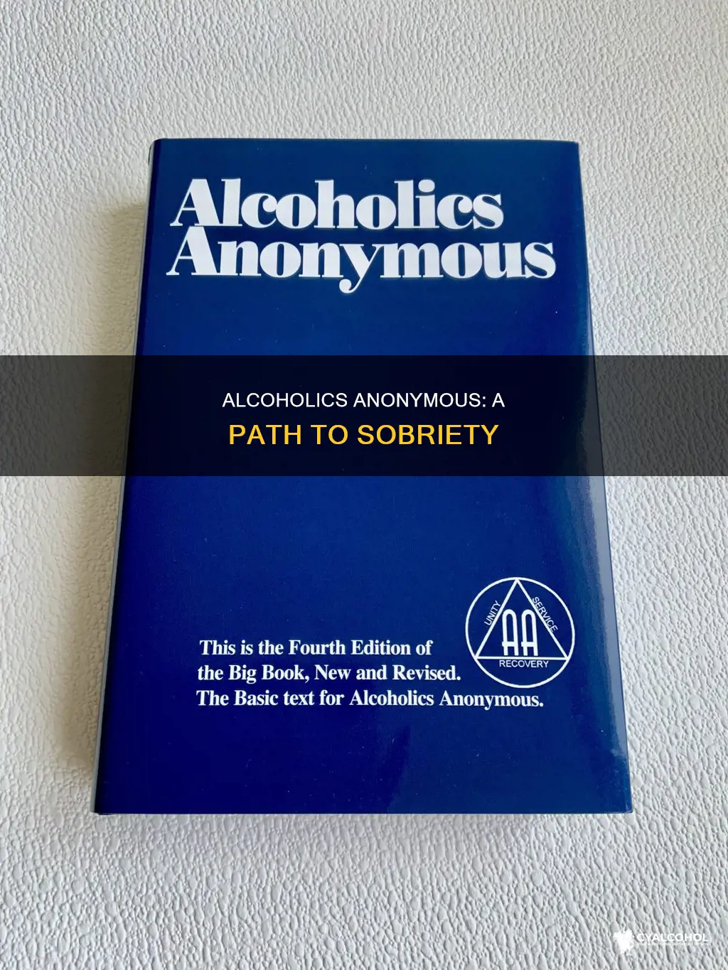 what does the aa program for treating alcoholism include