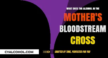Alcohol's Journey: Crossing Mother's Bloodstream