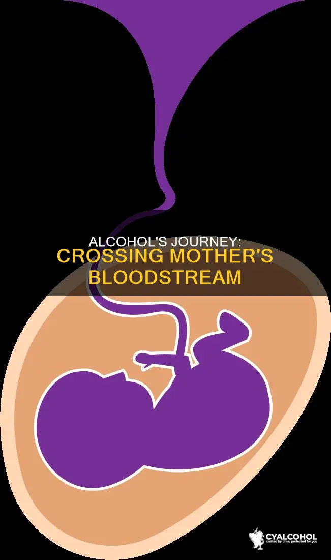 what does the alcohol in the mother