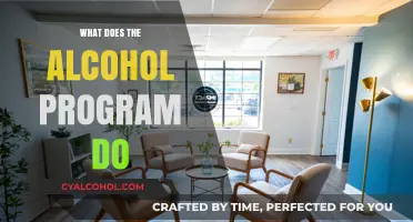 Unveiling the Impact: How Alcohol Programs Transform Lives and Communities