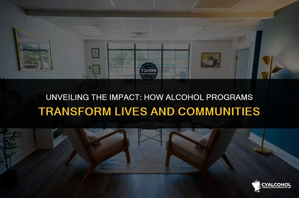 what does the alcohol program do