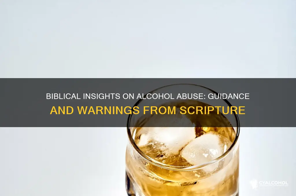 what does the bible say about alcohol abuse