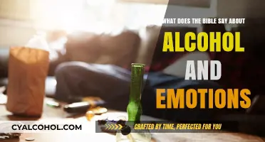 Alcohol and Emotions: Biblical Insights