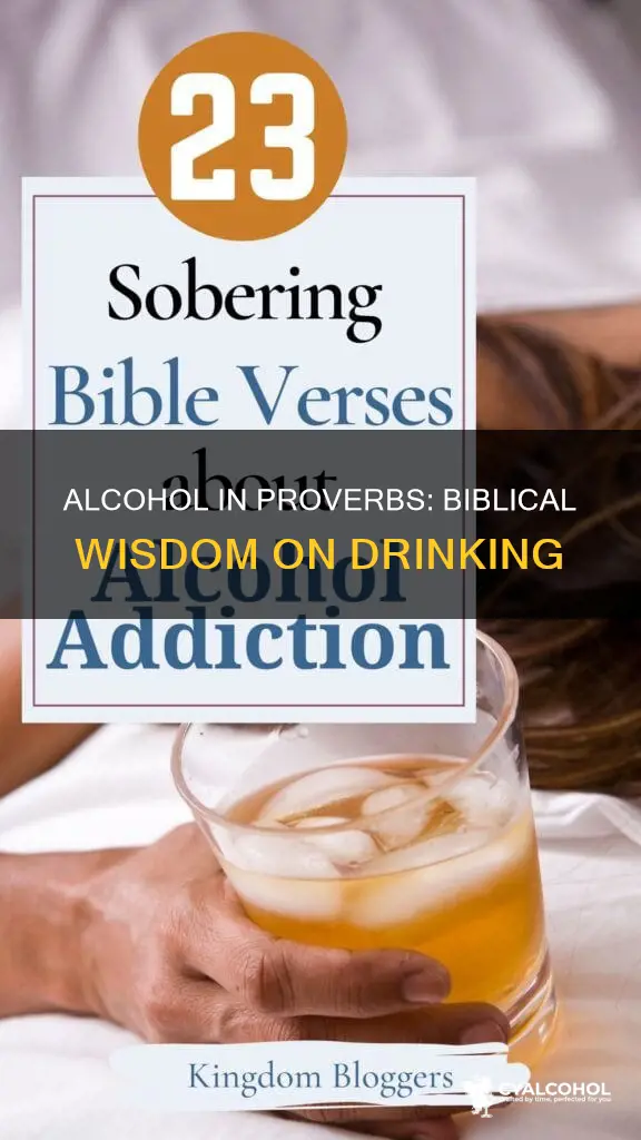 what does the bible say about alcohol in proverbs
