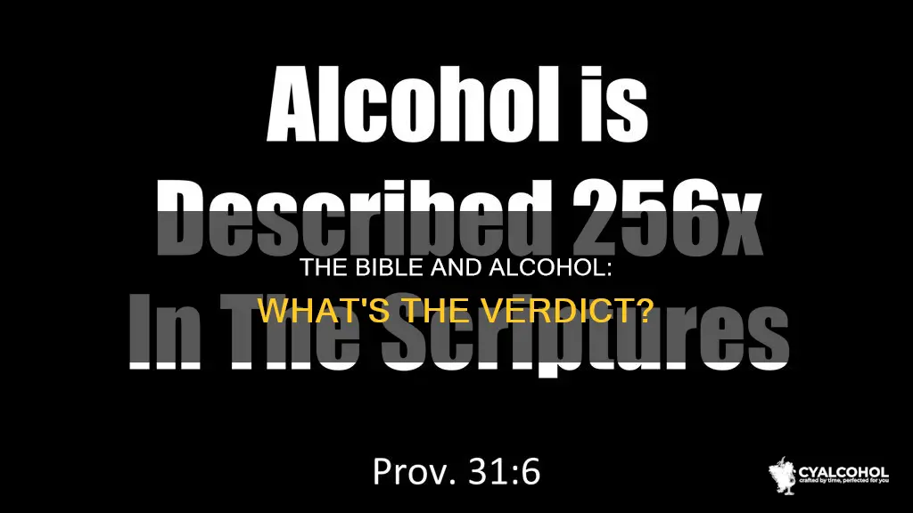 what does the bible say about druvs and alcohol