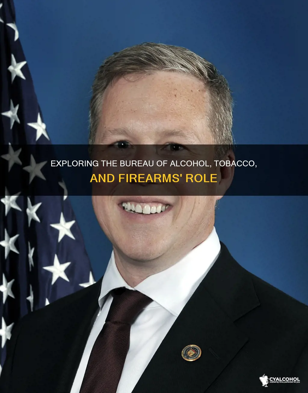 what does the bureau of alcohol tobacco and firearms do