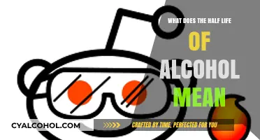 Understanding Alcohol's Half-Life: What It Means for Your Body