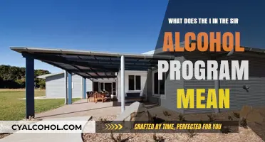 Understanding the Meaning of 'I' in the Sir Alcohol Program