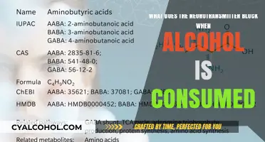 Alcohol's Impact: Neurotransmitter Blockage Explained