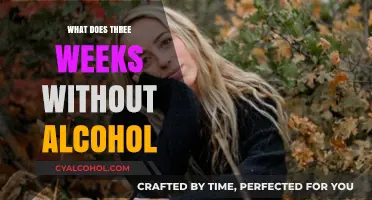 Sober Reflections: My Journey Through Three Weeks Without Alcohol
