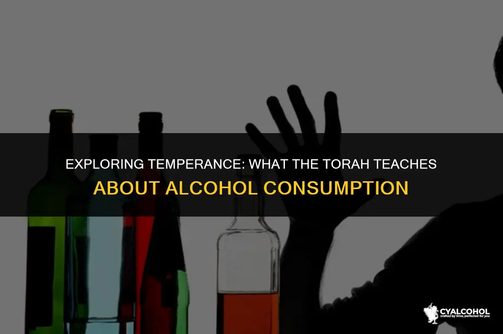 what does torah say about alcohol