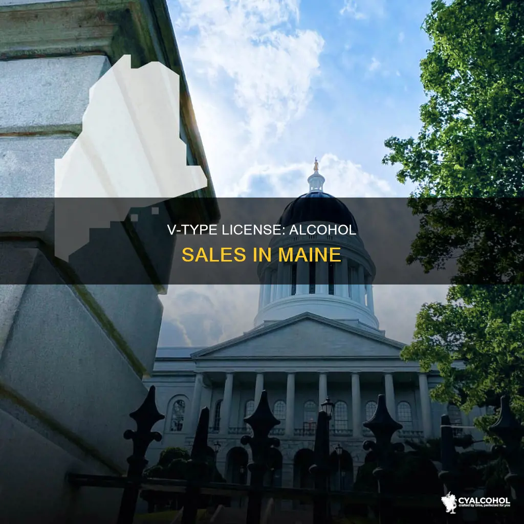 what does v type license mean in maine alcohol
