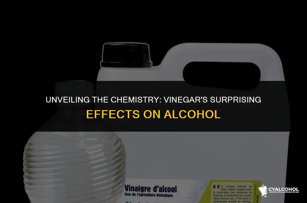 what does vinegar do to alcohol