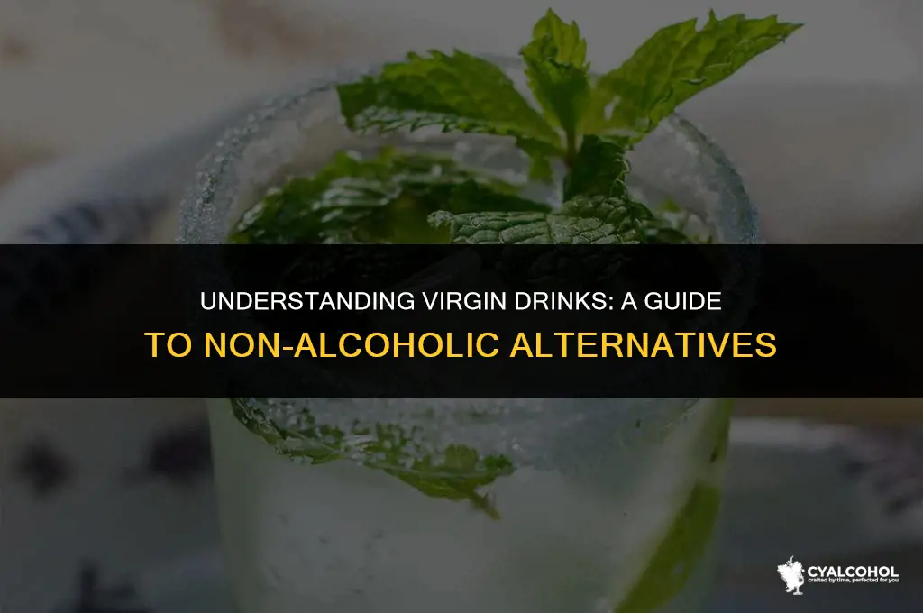what does virgin mean for alcohol