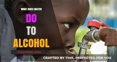 Exploring the Effects: How Water Impacts Alcohol Consumption