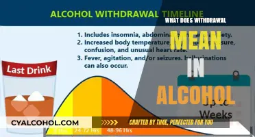 Understanding Alcohol Withdrawal: A Comprehensive Guide to Symptoms and Treatment