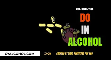 Unveiling Yeast's Role in Alcohol: A Microbial Journey