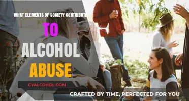 Social Factors Fueling Alcohol Abuse: Uncovering Hidden Contributors