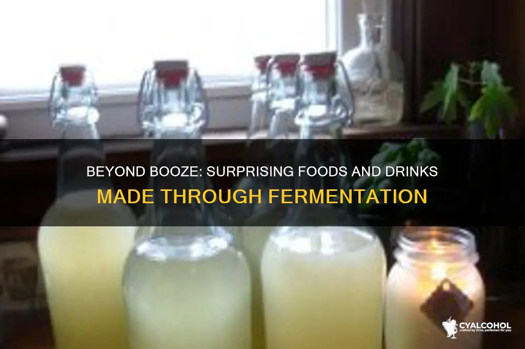 what else besides alcohol is made in fermentaiton