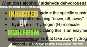 How Disulfiram Inhibits Alcohol Metabolism Enzymes