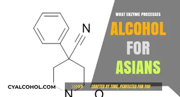 Unveiling the Genetic Secret: How Asians Metabolize Alcohol Differently