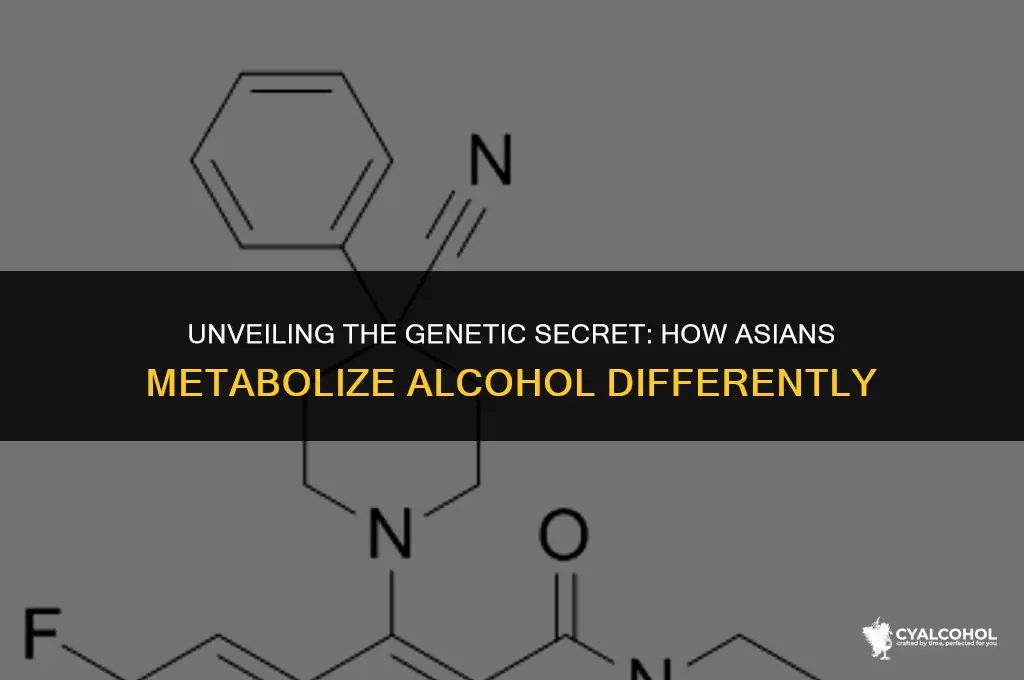 what enzyme processes alcohol for asians