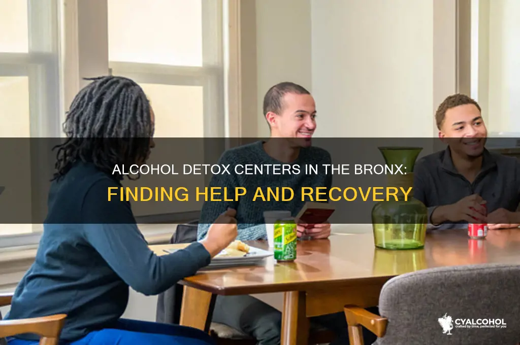 what er in bronx have detox for alcohol