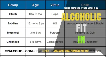Alcoholism and Erickson’s Psychosocial Stages: Finding the Right Fit