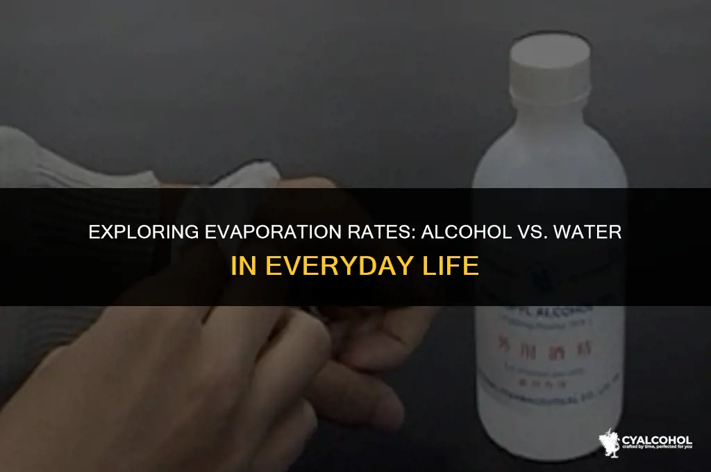 what evaporates faster alcohol or water
