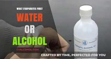 Exploring Evaporation: The Surprising Truth About Water and Alcohol