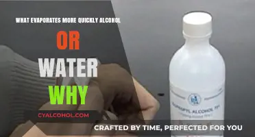 Alcohol vs. Water: Which Evaporates Faster and Why?