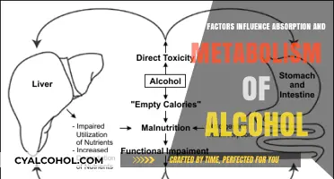 Understanding Alcohol Absorption and Metabolism: Key Factors Explained
