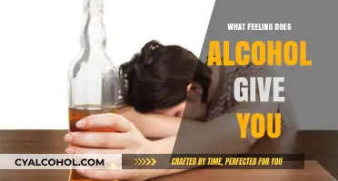 Exploring the Complex Emotions: What Feelings Does Alcohol Really Give You?
