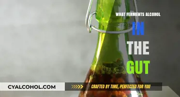 Gut Fermentation: The Surprising Culprits Behind Alcohol Production