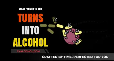 From Grains to Spirits: The Art of Alcohol Fermentation