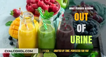 Natural Remedies to Flush Alcohol Out of Your System
