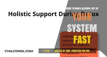 Quick Ways to Flush Alcohol Out of Your System Fast