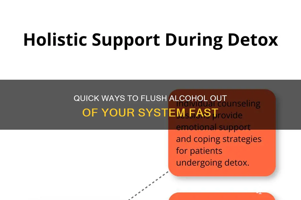 what flushes alcohol out of your system fast