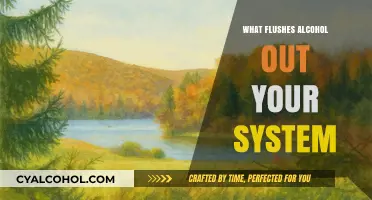 Detoxifying Your Body: Natural Ways to Flush Out Alcohol