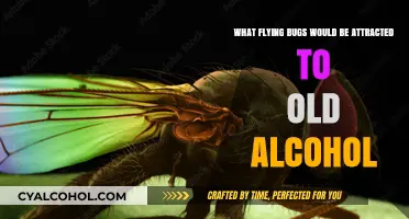 Old Alcohol: A Magnet for Flying Pests