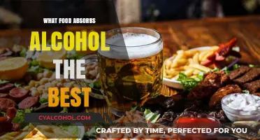 Sobering Bites: Discovering the Best Foods to Absorb Alcohol