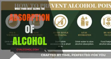 Slow Your Buzz: Foods That Delay Alcohol Absorption Effectively